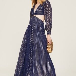 DELFI Collective, Cerise Gown, XS